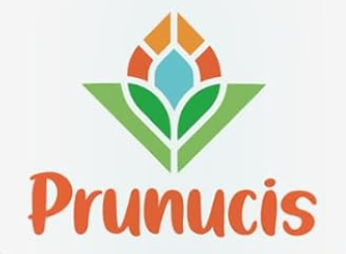 Prunucis logo